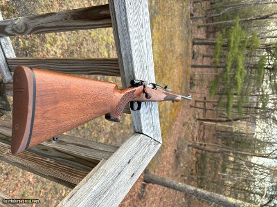 Remington Seven .223