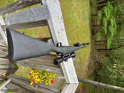 Remington Seven .223