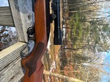Winchester 88 Post 64 Red W .243 Excellent - 5 of 18