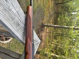 Winchester 88 Pre 64 .308 1955 AMAZING - 6 of 17