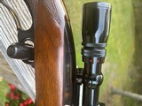 Winchester 88 Pre 64 .243 - 10 of 20