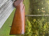 Winchester 88 Pre 64 .243 - 4 of 20