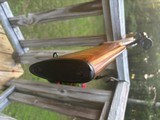 Winchester 88 Pre 64 .243 - 19 of 20