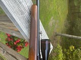 Winchester 88 Pre 64 .243 - 6 of 20