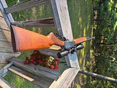 Marlin 1895 .45/70