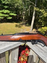 Winchester 88 Pre 64 .308 - 5 of 17