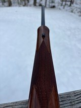 Remington Seven .243 - 19 of 19