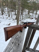 Remington Seven .243 - 9 of 19