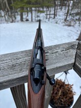 Remington Seven .243 - 15 of 19