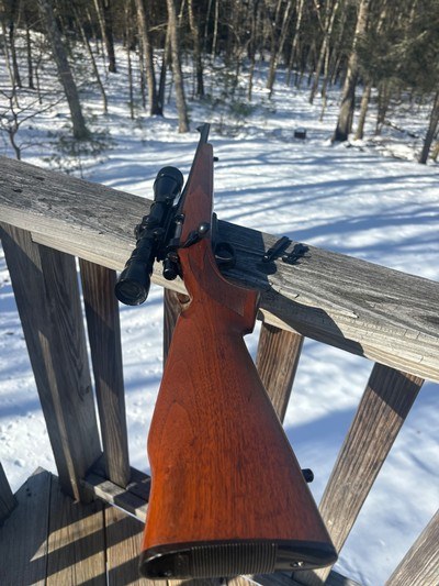 Remington 600 Mohawk .222