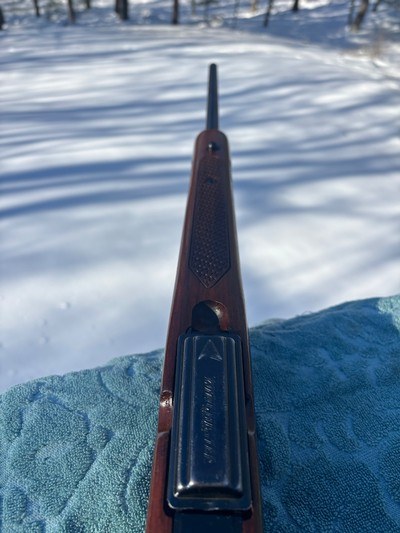 Winchester 88 .243 Post 64 Great Shooter - Image 12 of 16