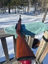 Winchester 88 .243 Post 64 Great Shooter - Image 2 of 16