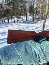 Winchester 88 .243 Post 64 Great Shooter - Image 7 of 16