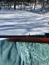 Winchester 88 .243 Post 64 Great Shooter - Image 5 of 16