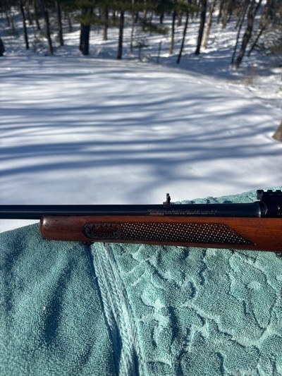 Winchester 88 .243 Post 64 Great Shooter - Image 5 of 16