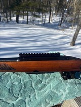 Winchester 88 .243 Post 64 Great Shooter - Image 4 of 16