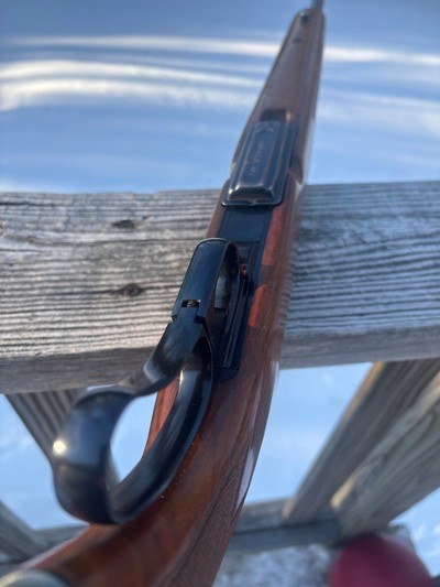 Winchester 88 .308 Pre 64 - Image 15 of 18