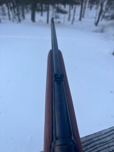 Winchester 88 .243 Pre 64 Shooter - Image 15 of 20