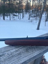 Winchester 88 .243 Pre 64 Shooter - Image 5 of 20