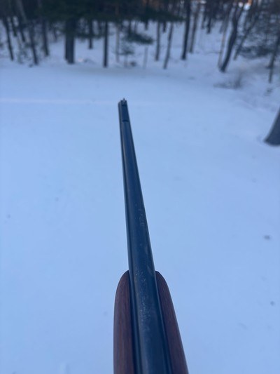 Winchester 88 .243 Pre 64 Shooter - Image 16 of 20