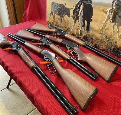 MARLIN 1895 LTD I-V COLLECTION - Image 4 of 15