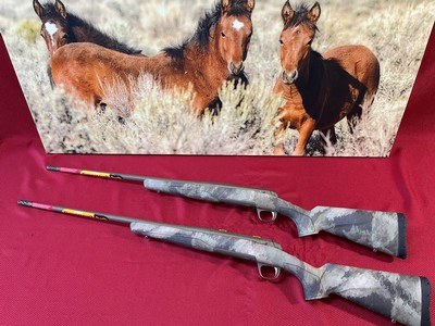 BROWNING X-BOLT HELLS CANYON SPEED-TAKE YOUR PICK - Image 2 of 10