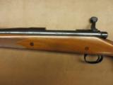 Remington Model 700 Safari Grade - 6 of 7