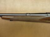 Winchester Model 70 Pre-64 - 8 of 9