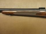 Winchester Model 70 Pre-64 - 10 of 12