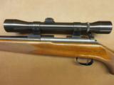 Winchester Model 52 Sporter - 5 of 11