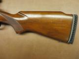 Winchester Model 70 Featherweight Pre-64
- 7 of 11