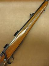 Winchester Model 70 - 1 of 8