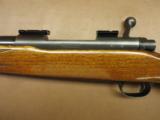 Winchester Model 70 - 6 of 8