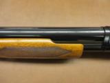 Winchester Model 12 - 7 of 8