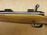 Winchester Model 70 Varmint - 6 of 8