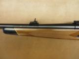 Winchester Model 70 - 7 of 8