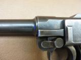 DWM Luger 7.65 - 3 of 13