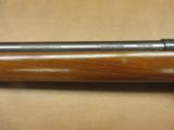 Remington Model 514-P - 7 of 9