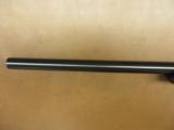 Sako Model 75 Varmint - 9 of 9