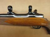 Colt Sauer Sporting Rifle - 7 of 11