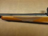 Ruger Model 77 Varmint - 7 of 9