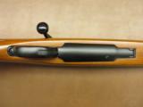 Ruger Model 77 Varmint - 4 of 9