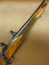 Colt Sauer Sporting Rifle - 1 of 14