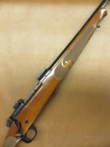 Winchester Model 70 Classic Featherweight - 1 of 10
