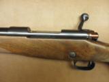 Winchester Model 70 Classic Super Grade - 8 of 12