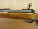 Winchester Model 70 Pre-64 - 6 of 9