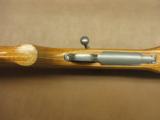 Ruger Model 77 Mark II Varmint - 4 of 9