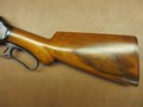Winchester Model 1887 - 5 of 9