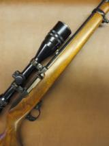 Ruger Model 10-22 Magnum - 1 of 7