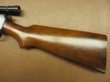 Winchester Model 63 - 5 of 7